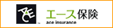 ACE Insurance (Japanese Site)