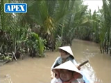 Mekong River Cruise - My Tho / Vietnam