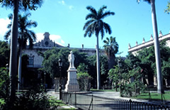 Arms Square 01