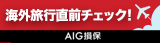 AIG»
