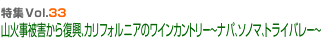 ýVol.33 лﳲե˥Υ磻󥫥ȥ꡼ ʥѡΥޡȥ饤Х졼 