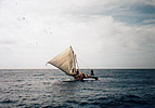 ヤップの離島地域で今も使われている大型カヌー。星を頼りとした航海術は有名。尚、このカヌーと同じ型のものが沖縄へも航海した。