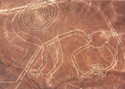 ナスカの地上絵 「猿」