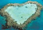 ϡȥ꡼(HEART REEF)