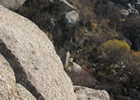 サマルカンド～ブハラを結ぶ山間の道路に見られる岩肌２