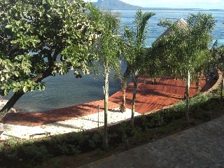 3ҼΥƥ饹鸫סСȥǥå