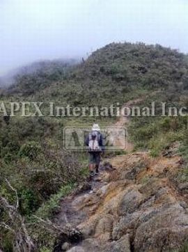ベトナム インドシナ半島最高峰 ファンシーパン山 ご紹介 海外旅行現地情報 Otoa 一般社団法人 日本海外ツアーオペレーター協会