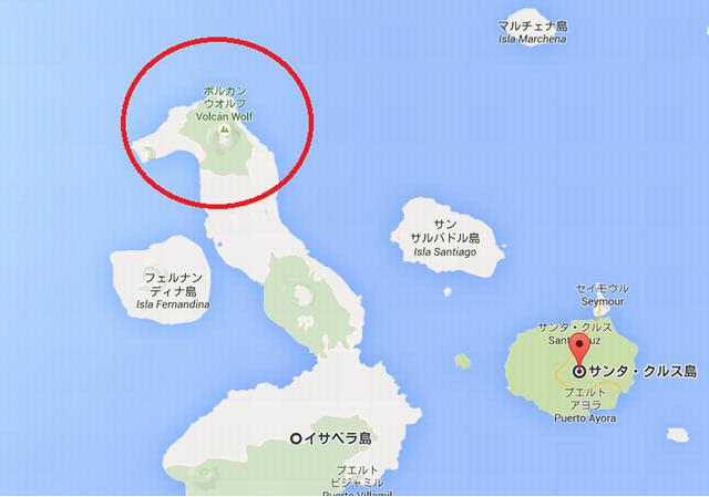 エクアドル ガラパゴス諸島 ウォルフ火山 噴火に伴う影響 海外旅行現地情報 Otoa 一般社団法人 日本海外ツアーオペレーター協会